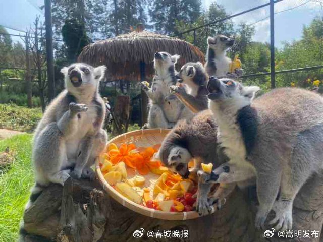 别跑空！云南野生动物园春节期间营业时间有调整