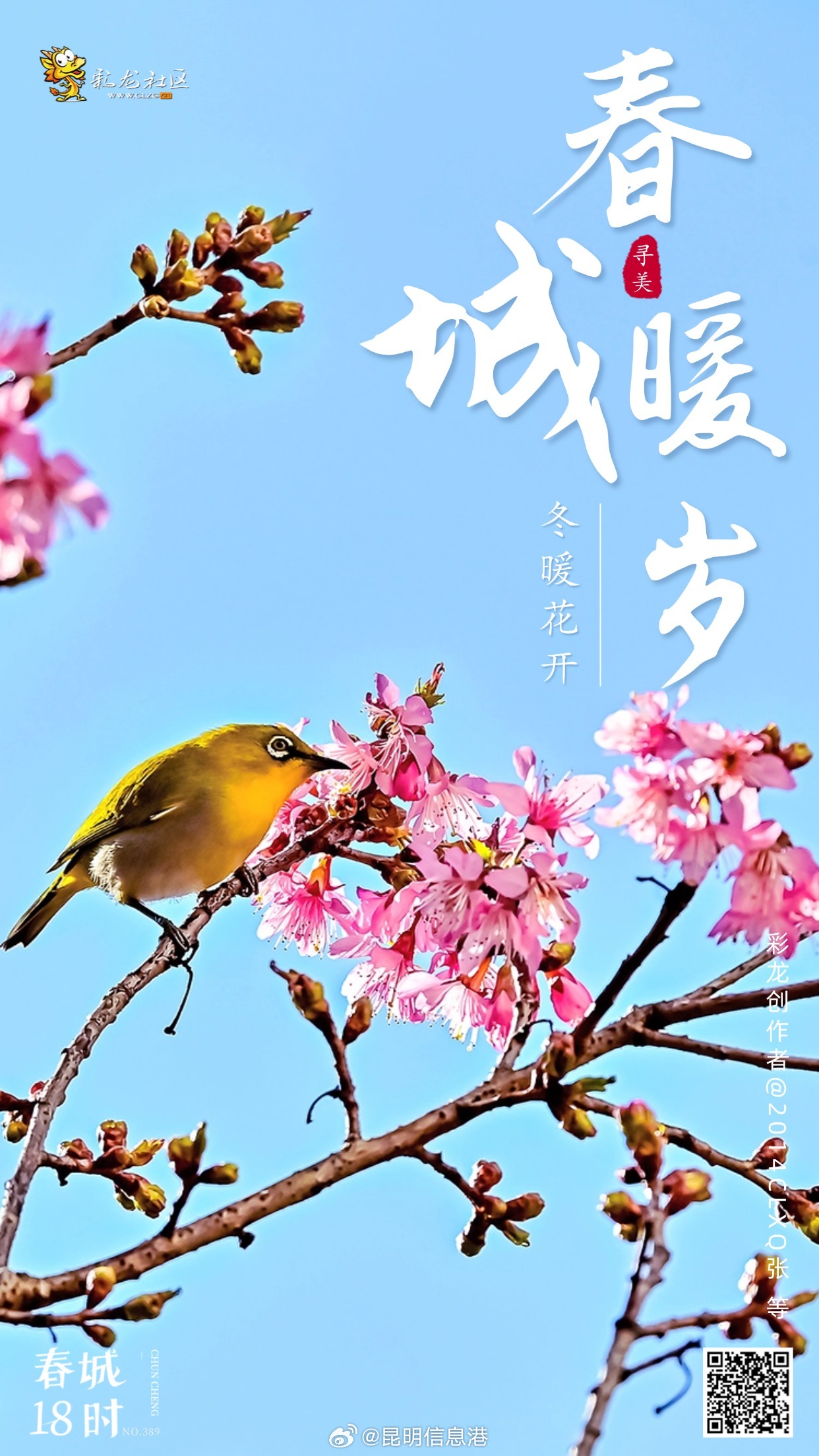 昆明信息港微博