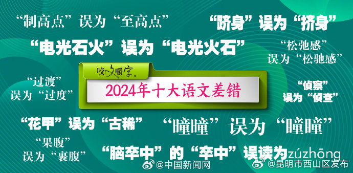 2024年十大语文差错