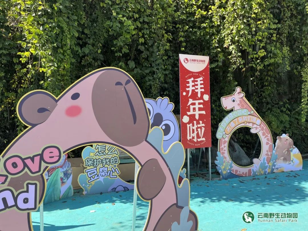 云南野生动物园