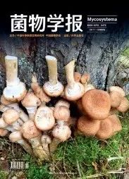 美丽云南微科普