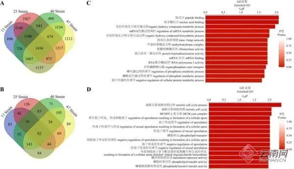 美丽云南微科普