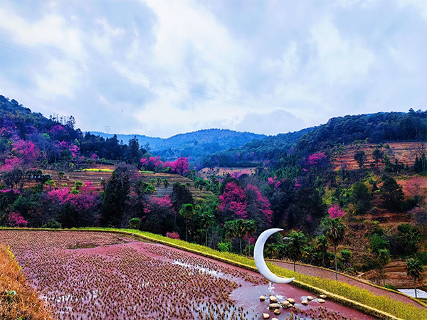 云南省人民政府