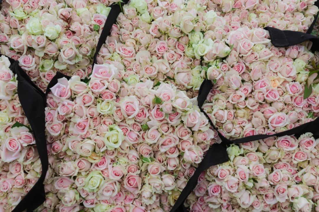 晋宁 诗意的栖居地