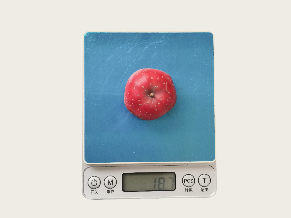 美丽云南微科普