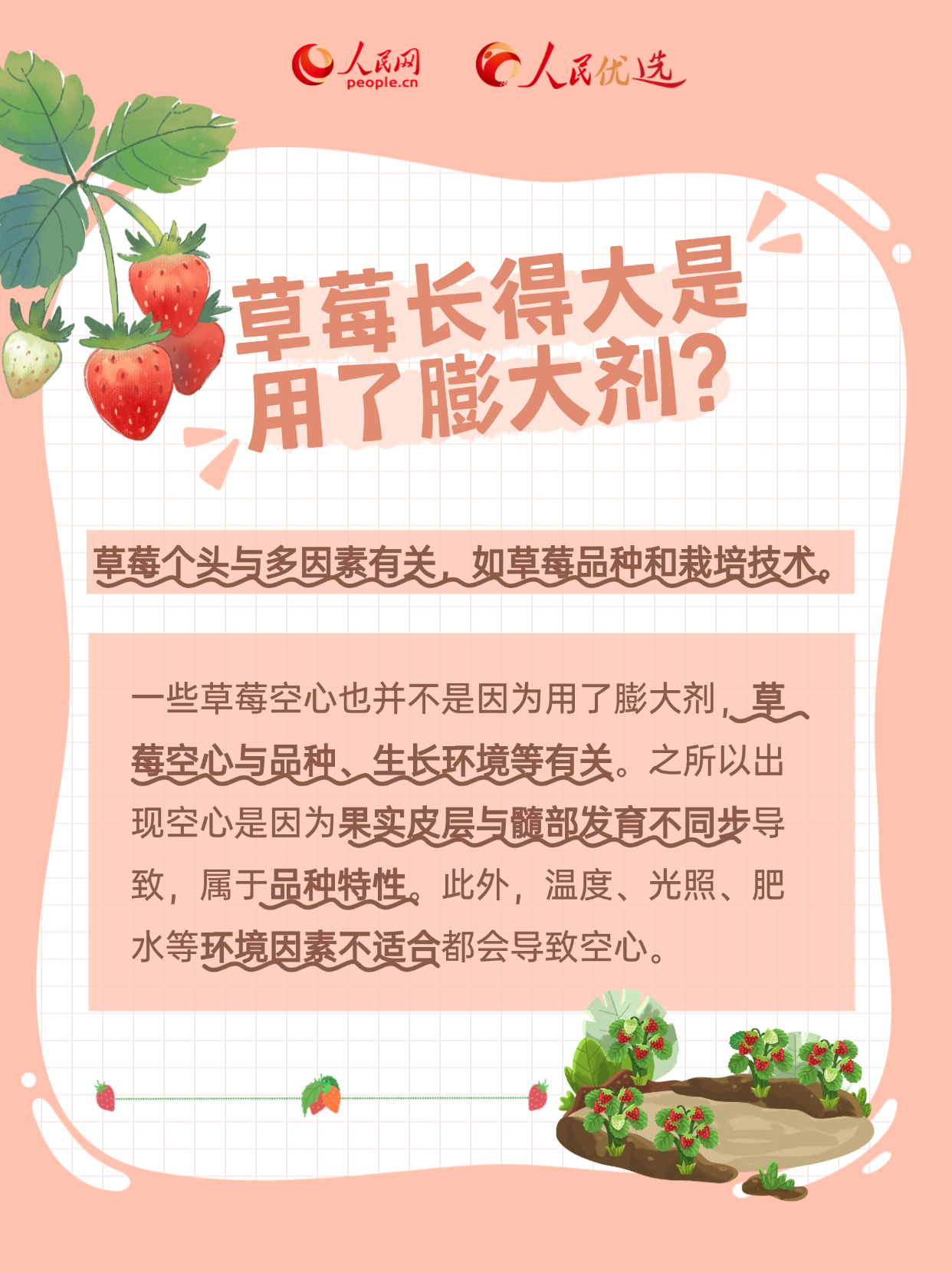 人民网