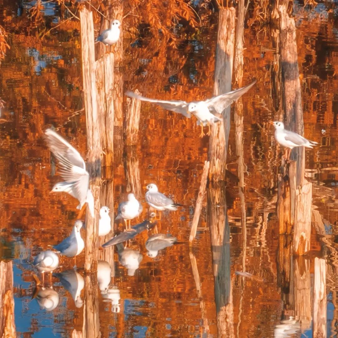 晋宁 诗意的栖居地