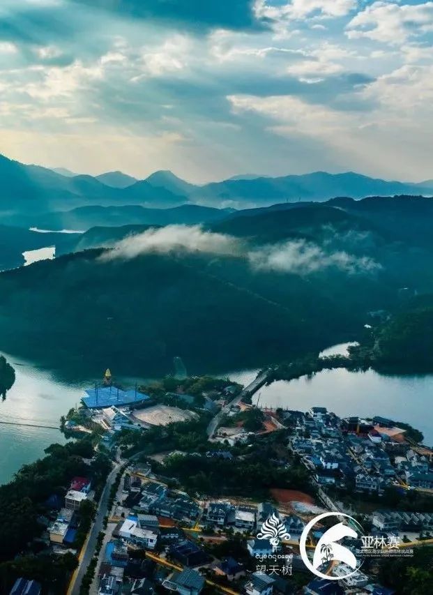 西双版纳望天树景区