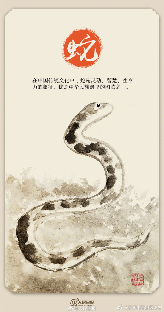 昆明市西山区发布