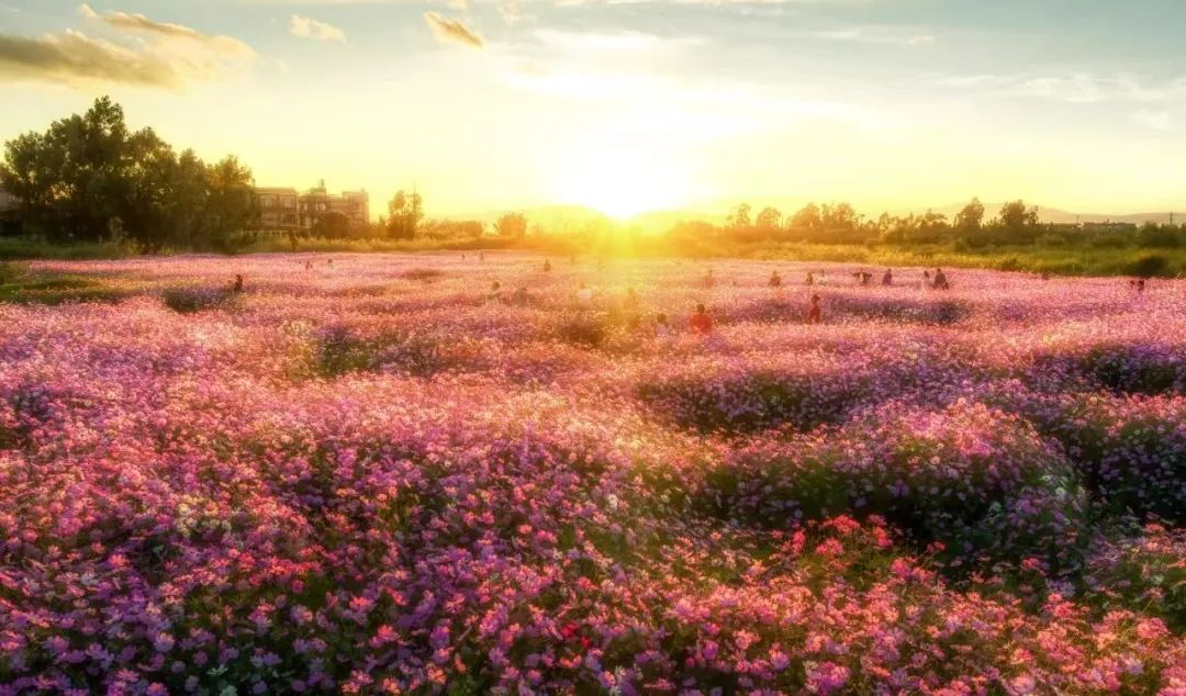 晋宁 诗意的栖居地