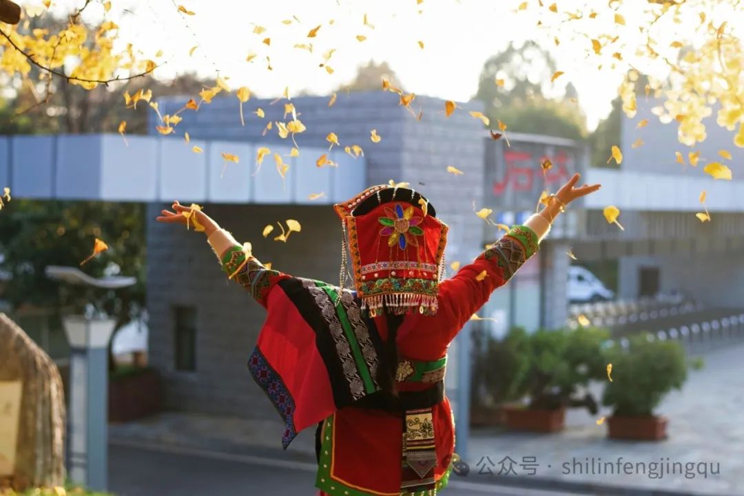 石林融媒