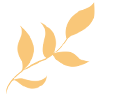 盘龙教育