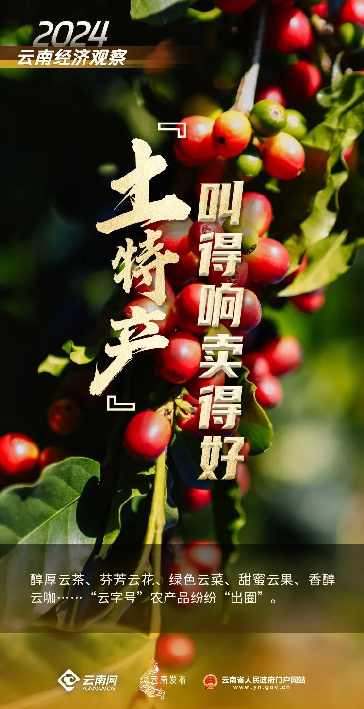 云南省人民政府