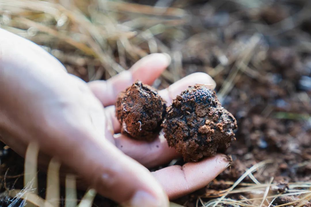 晋宁 诗意的栖居地
