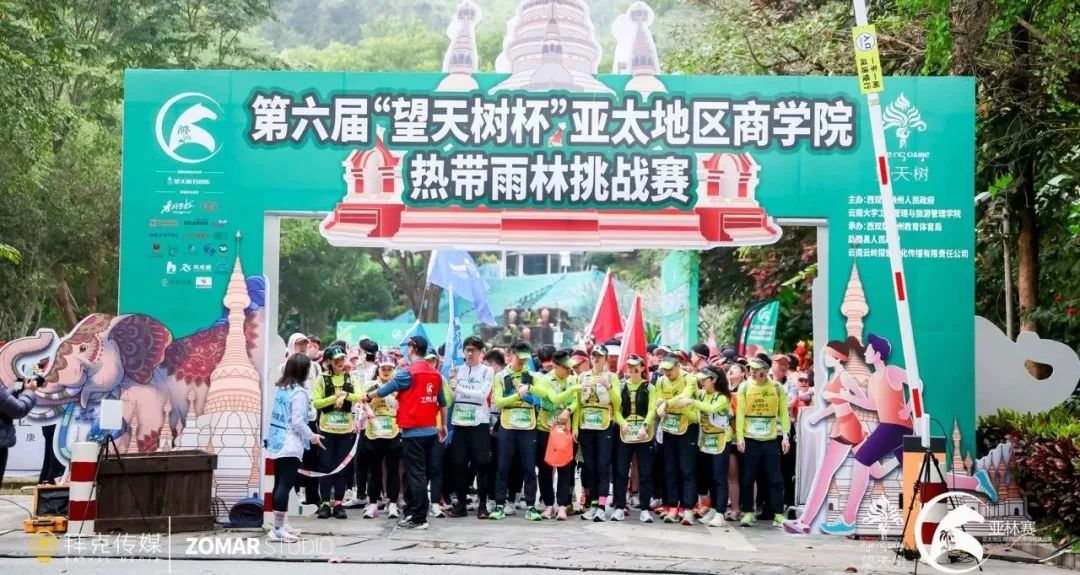 西双版纳望天树景区