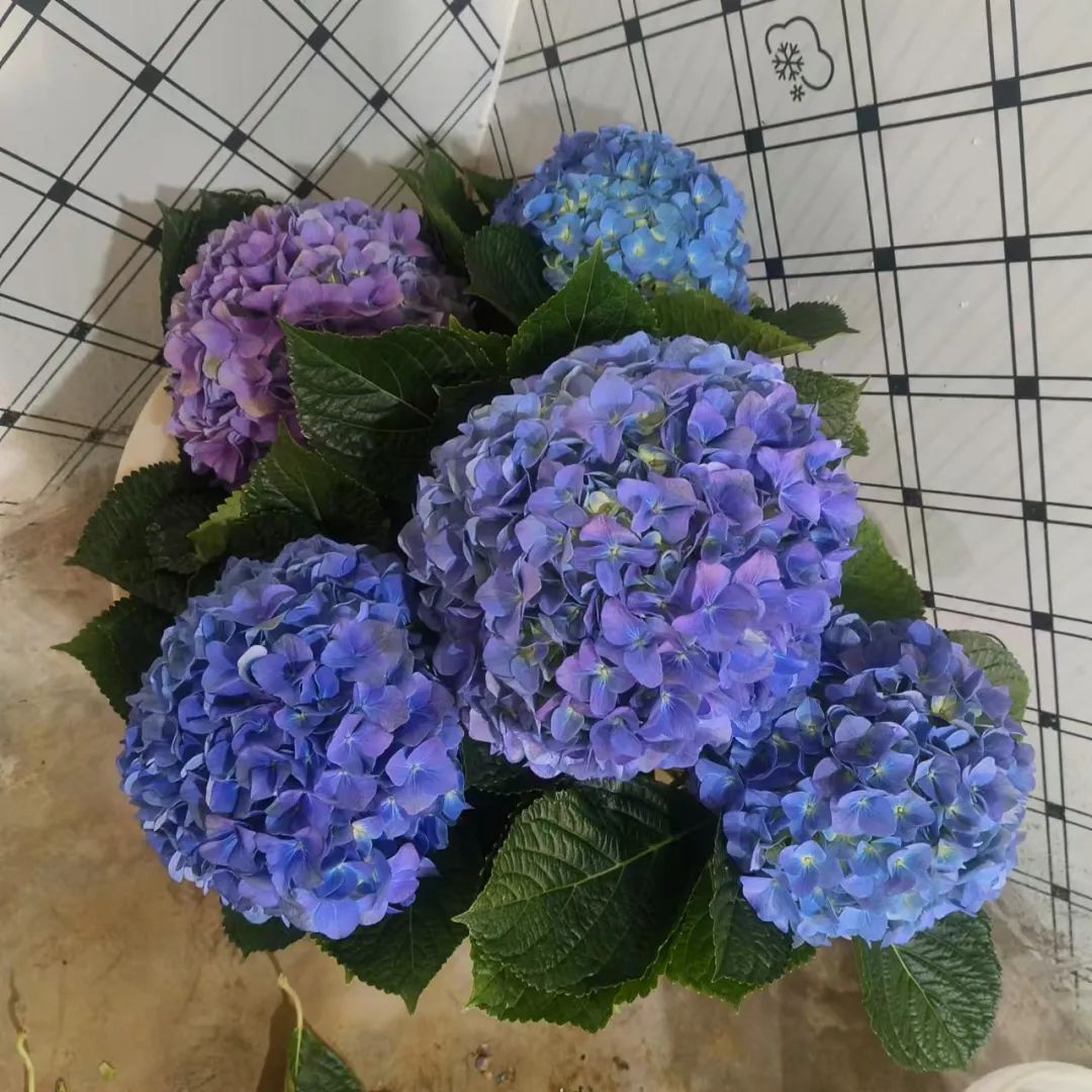 晋宁 诗意的栖居地