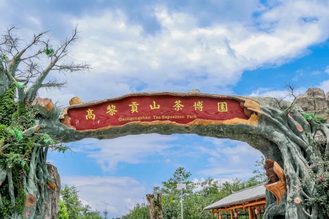 保山新闻网