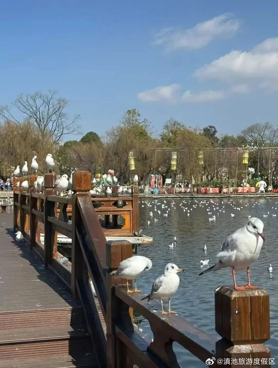 滇池旅游度假区