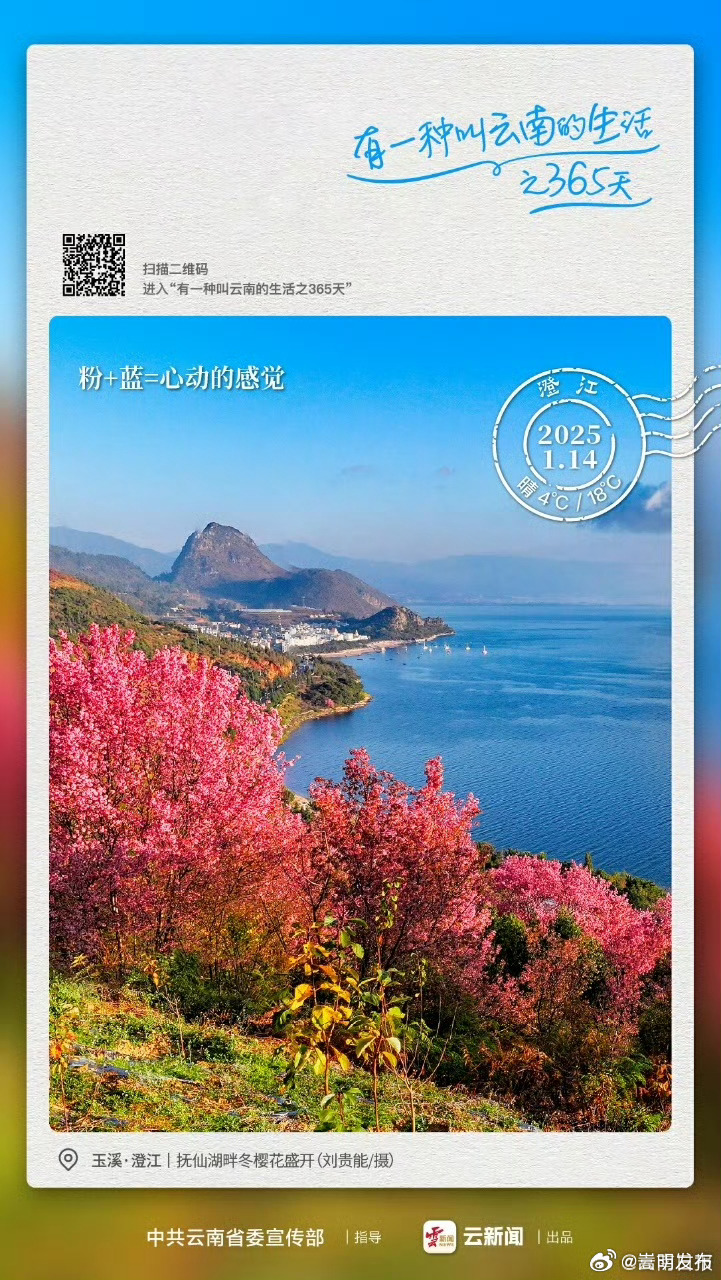 湖光潋滟晴方好,漫山粉霞迎早春 | 有一种叫云南的生活之365天