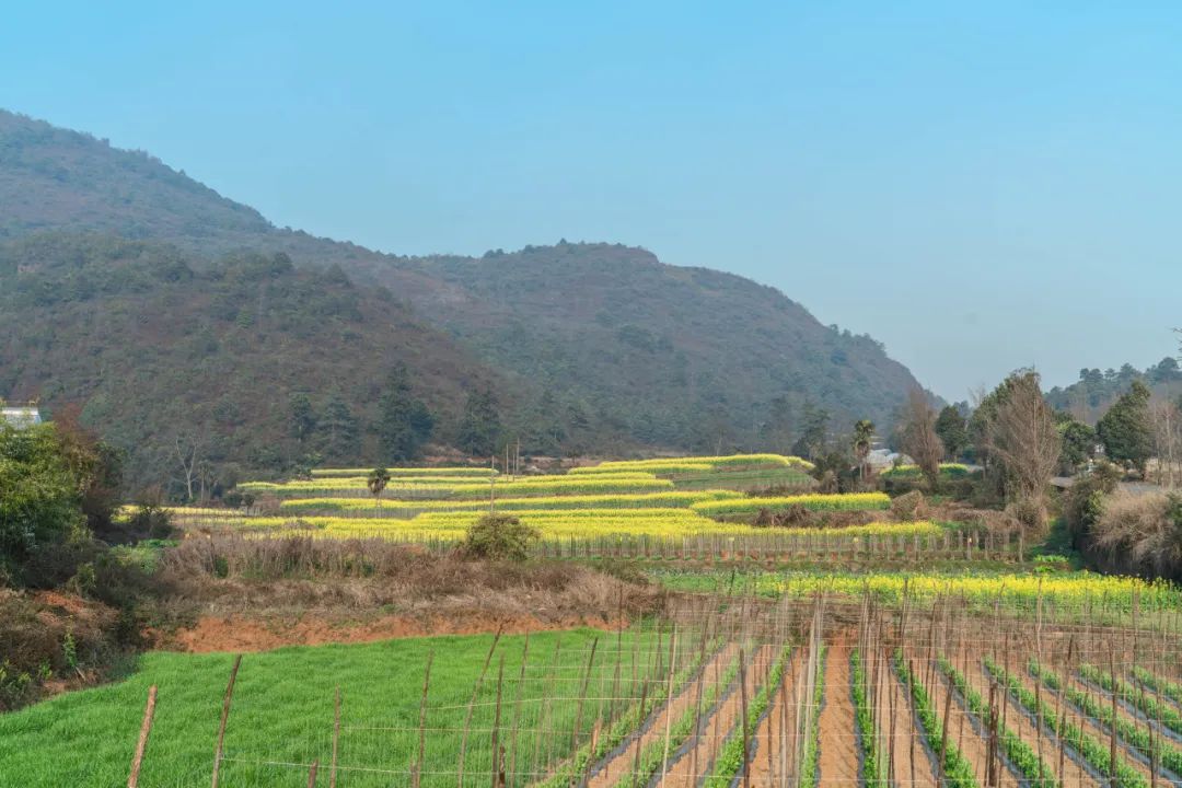 晋宁 诗意的栖居地