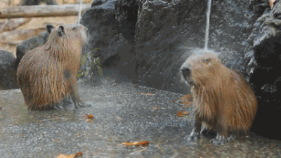 冬天警惕中暑风险