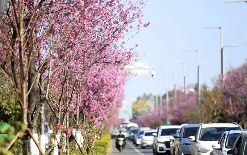 昆明文旅