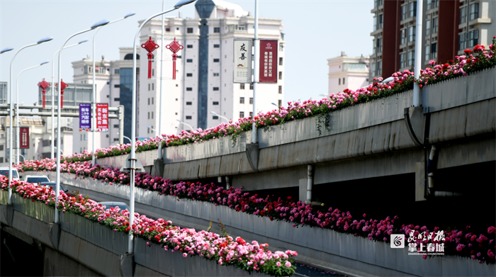 昆明文旅
