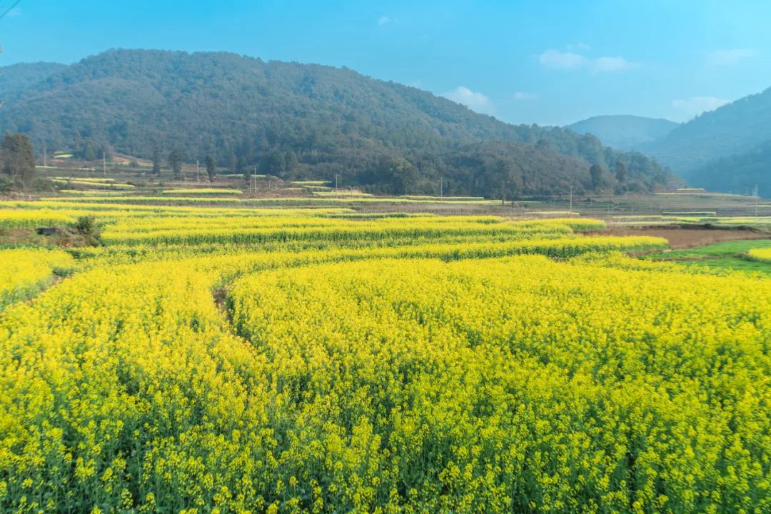 晋宁 诗意的栖居地