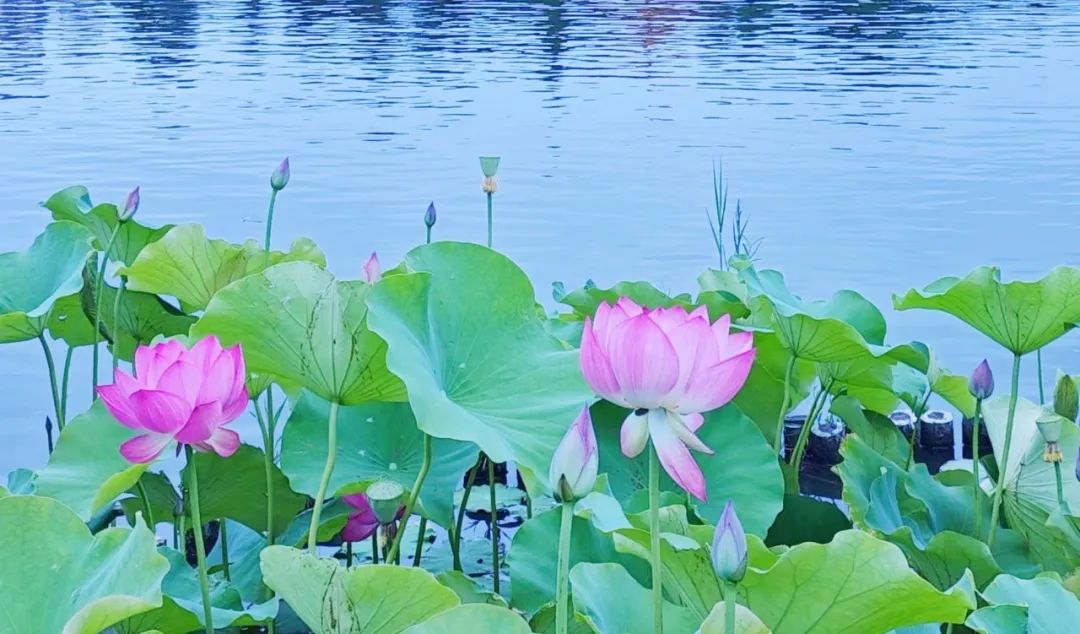 昆明文旅