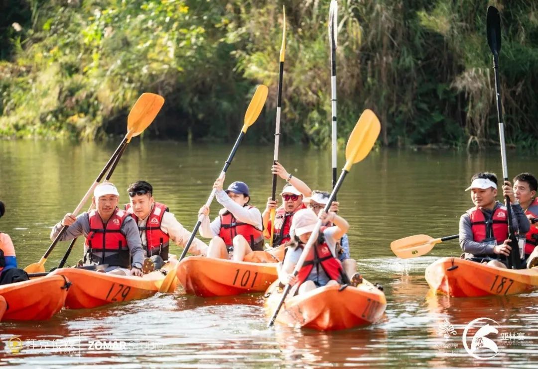 西双版纳望天树景区