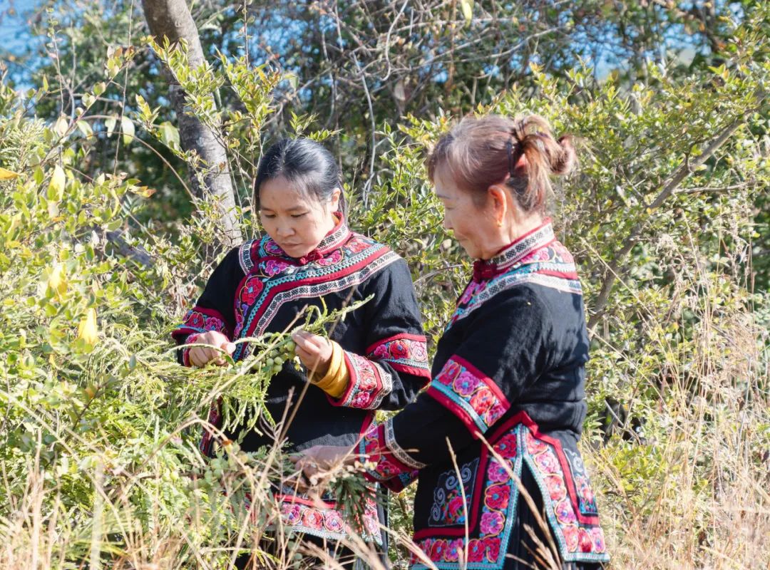 晋宁 诗意的栖居地