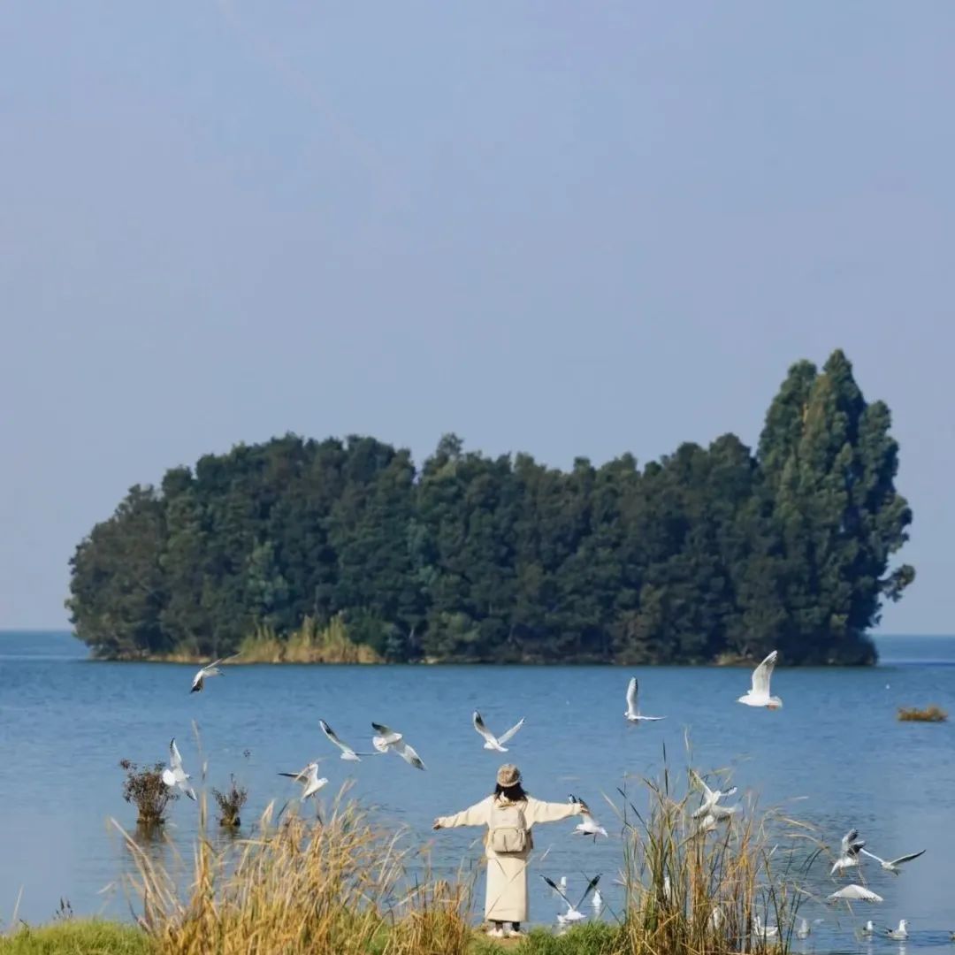 晋宁 诗意的栖居地