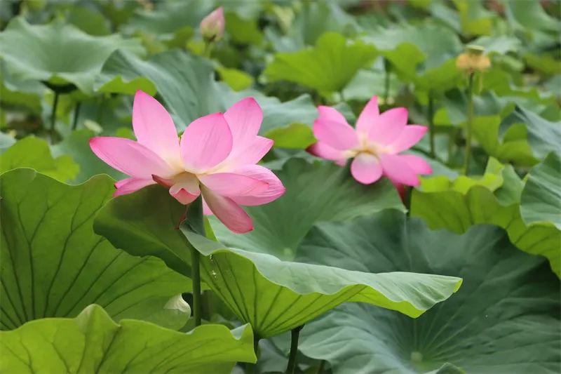 昆明文旅