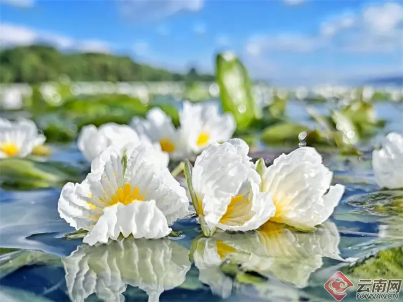 FM105城市生活广播