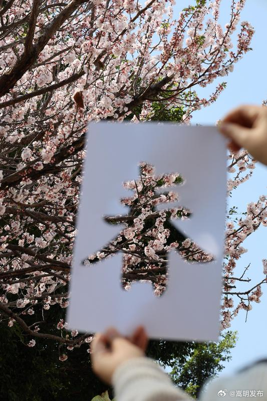 看，一张纸里的文山春色！