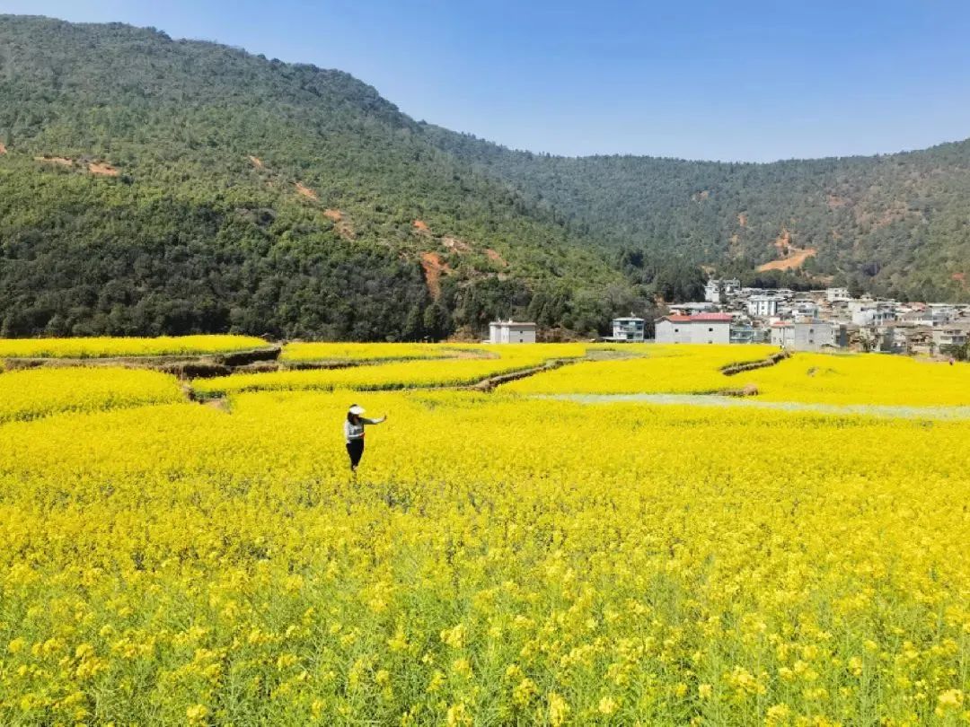 昆明公共文化云