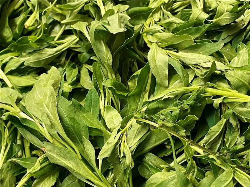 FM105城市生活广播