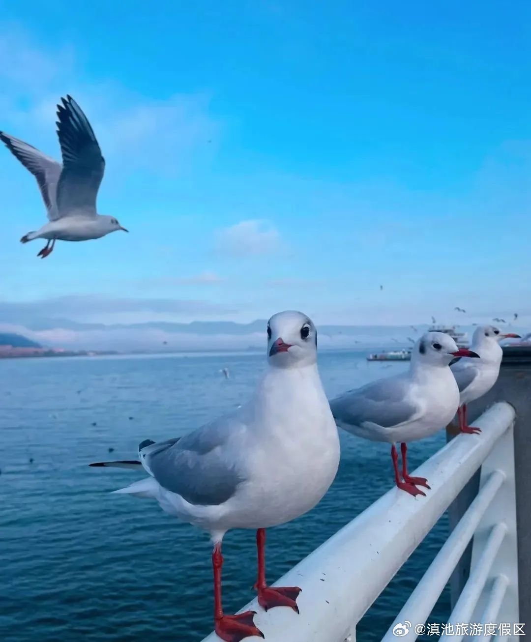 滇池旅游度假区