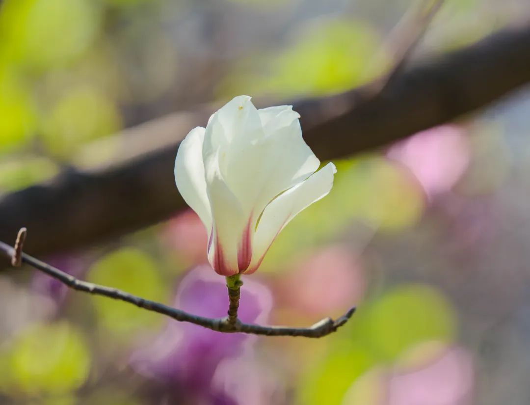 晋宁 诗意的栖居地