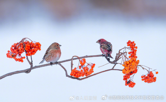昆明经济技术开发区管委会