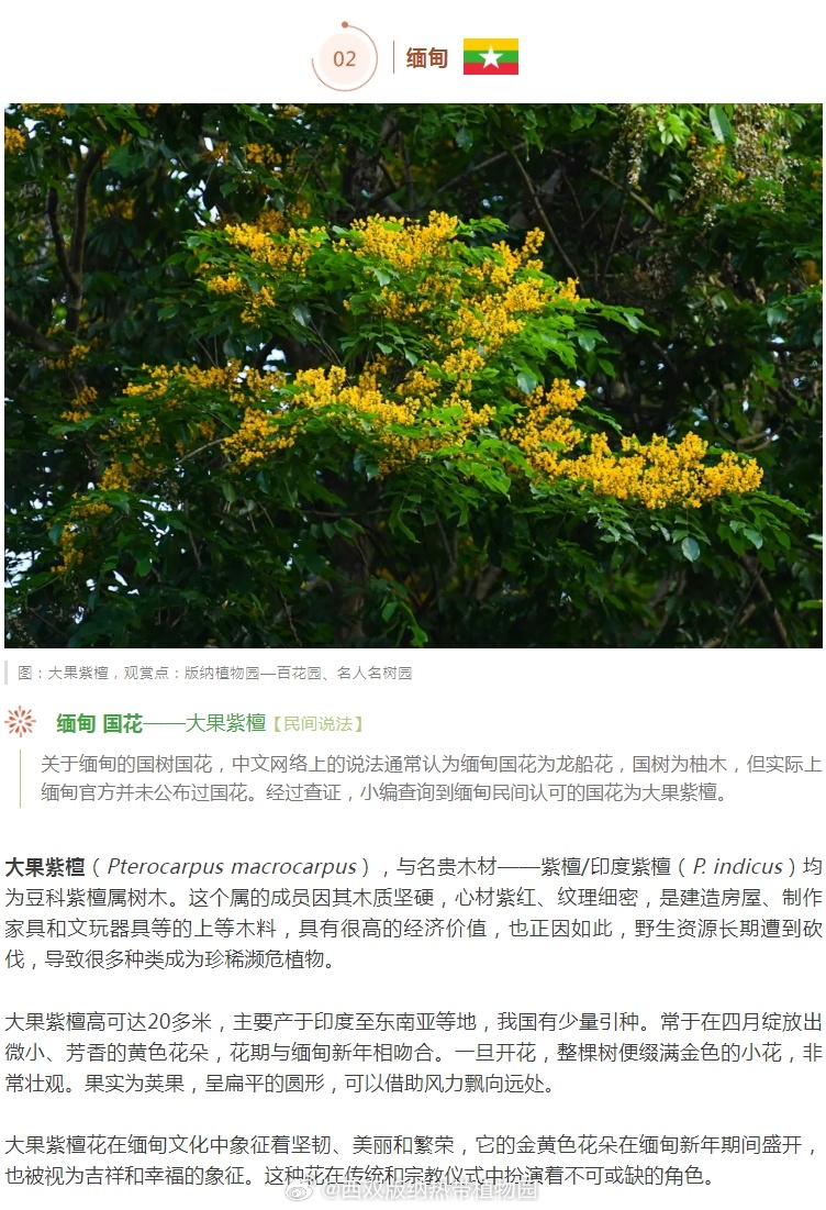 西双版纳热带植物园