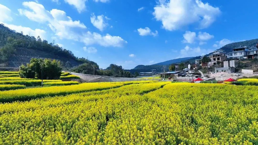 都市时报
