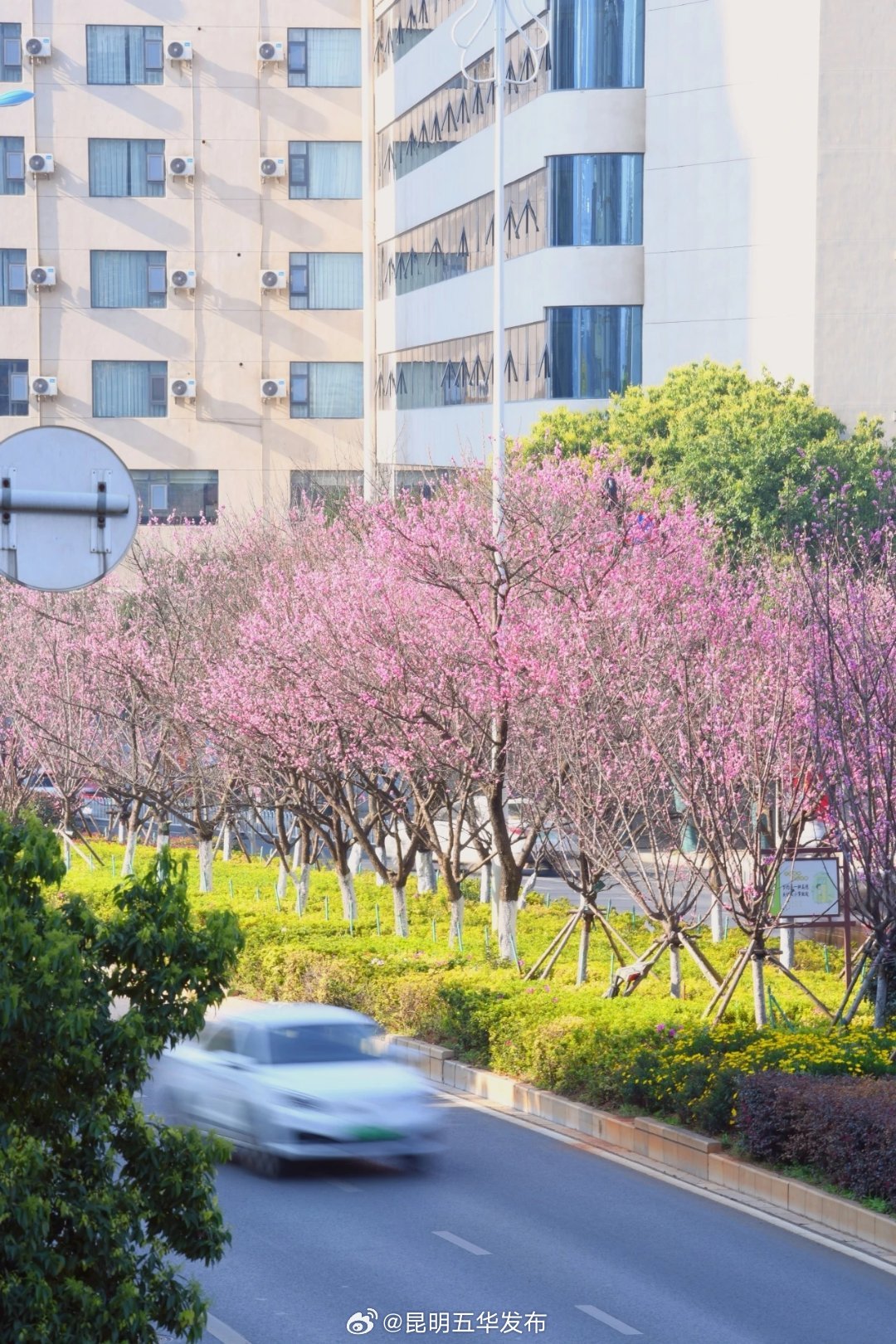 昆明五华发布