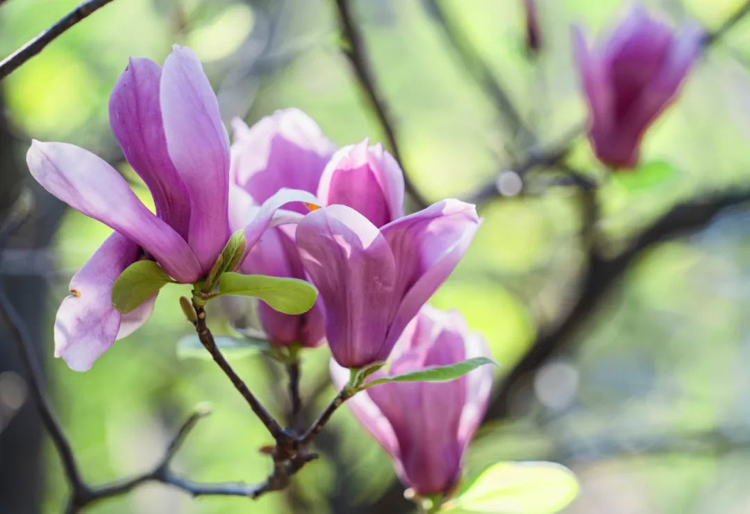 晋宁 诗意的栖居地