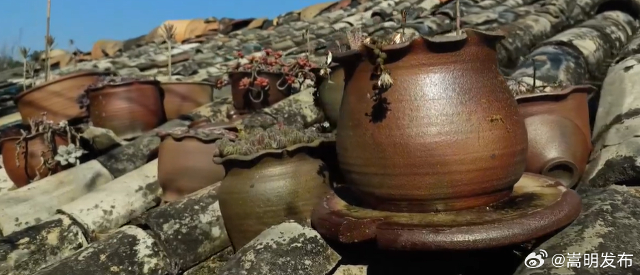 300余年窑火不熄！走进玉溪江川古龙窑