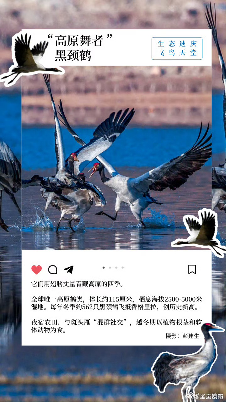 呈贡发布