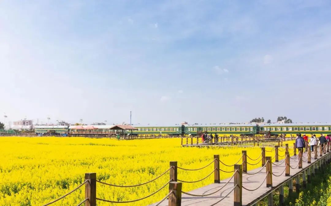 昆明公共文化云