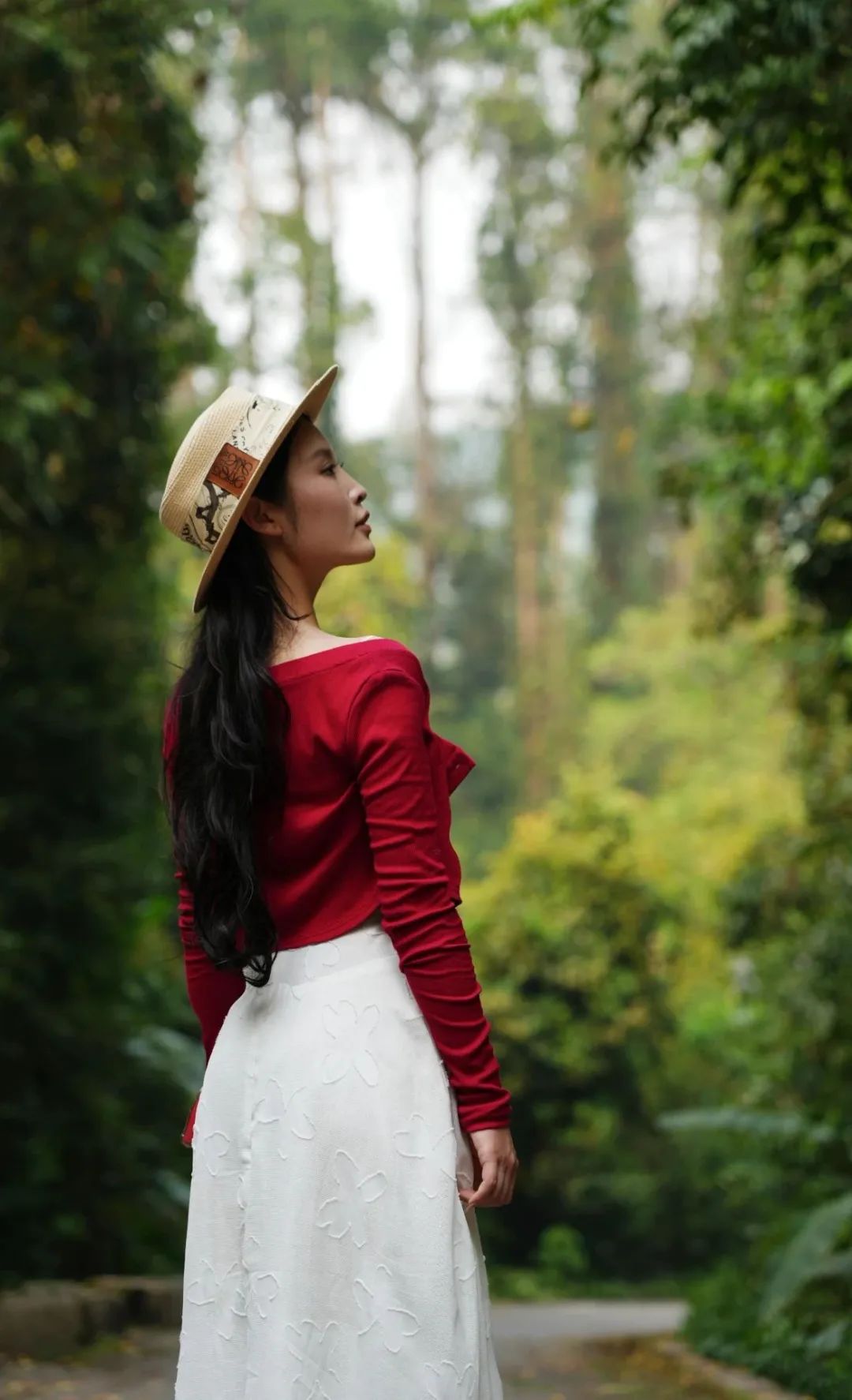 西双版纳望天树景区