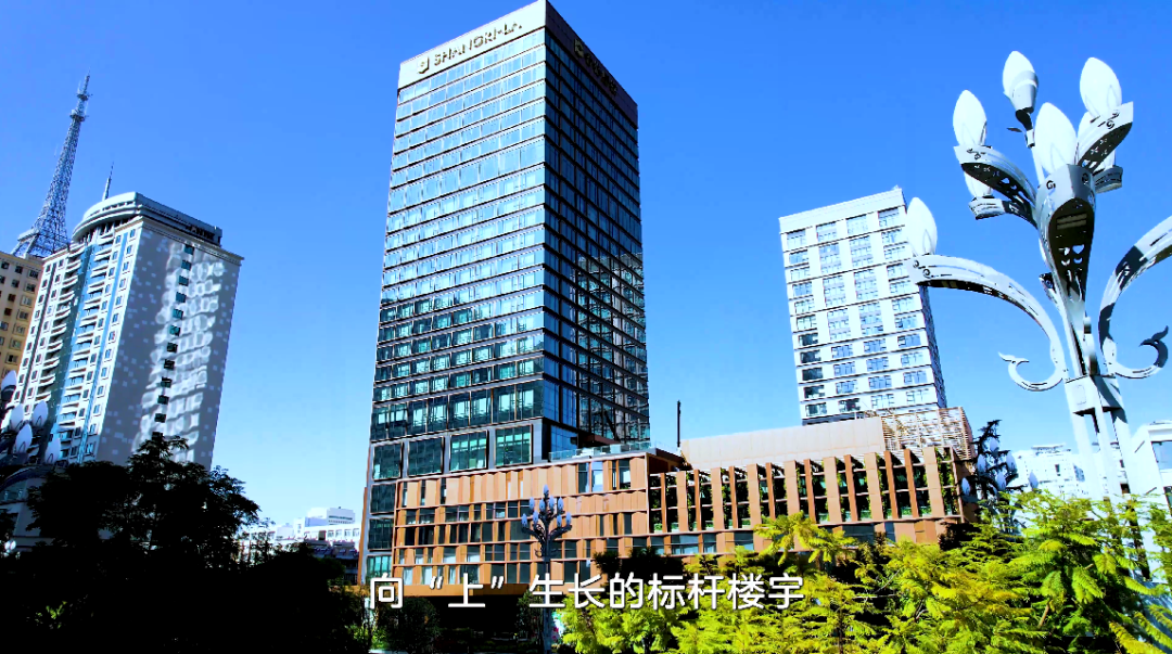 微观盘龙