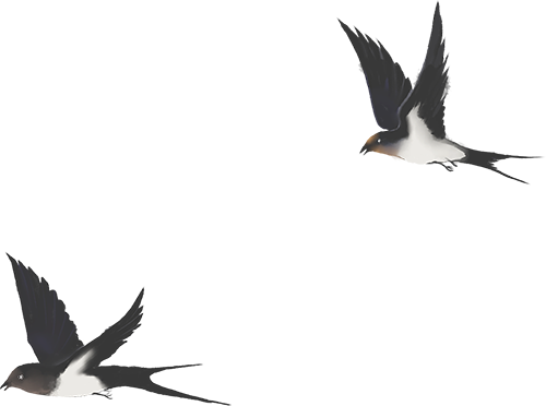 云南省中医医院